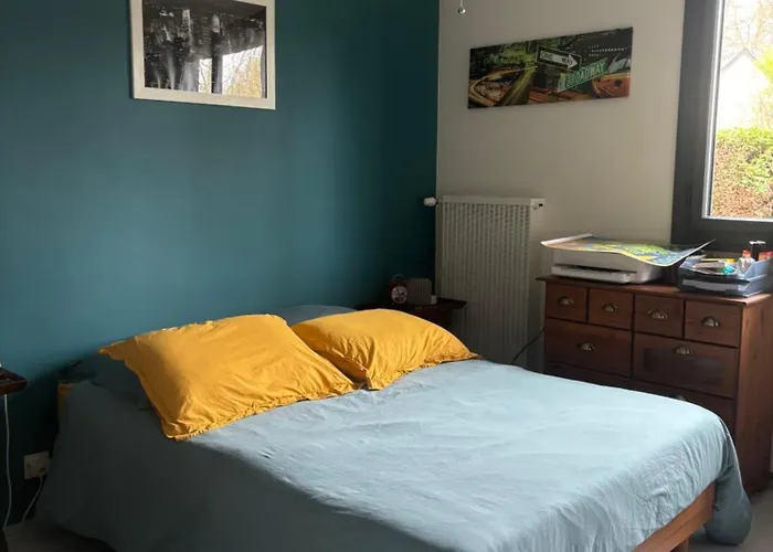 Maison, Jardin, Circuit 10 Min * Arnage